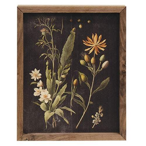 Vintage Botanical Framed Print