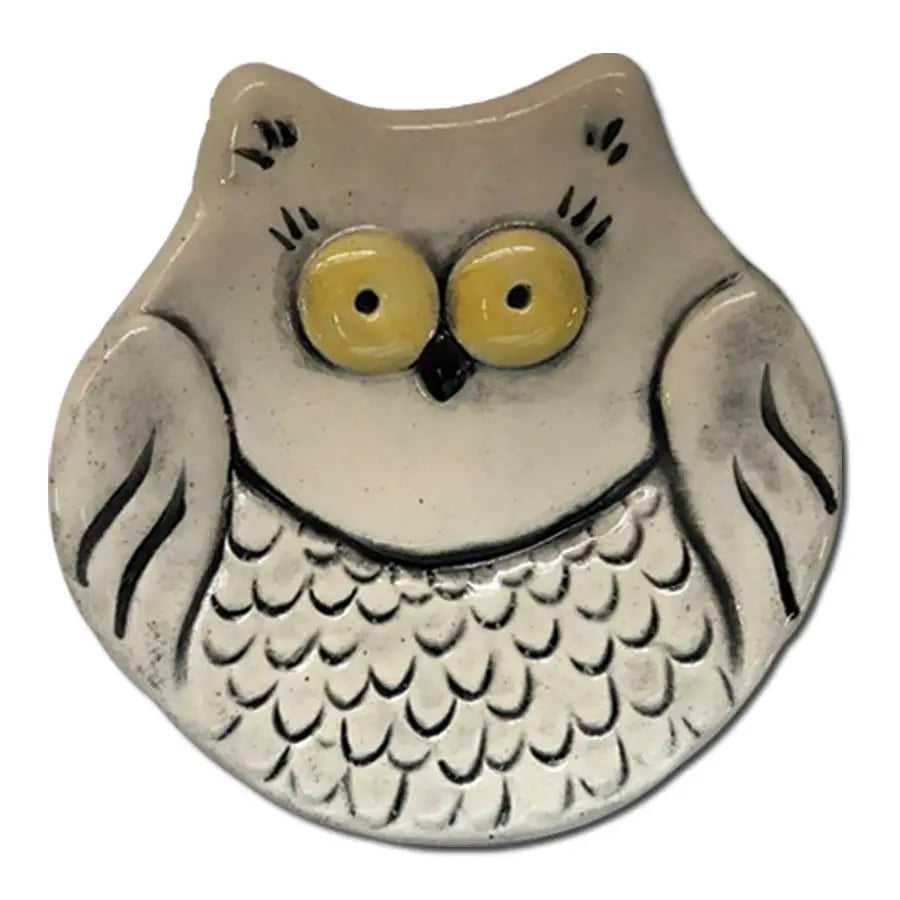 Watchful Owl Ceramic Dish