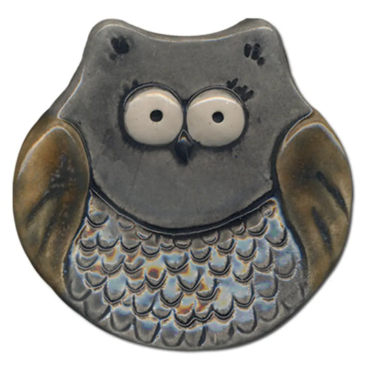 Watchful Owl Ceramic Dish