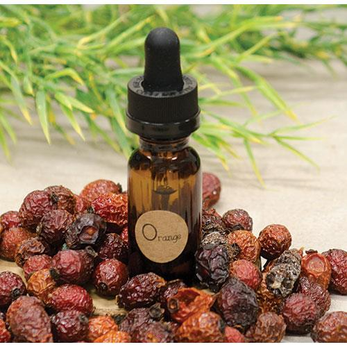 Orange Refreshing Oil