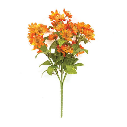 Fall St. John’s Wort Bush