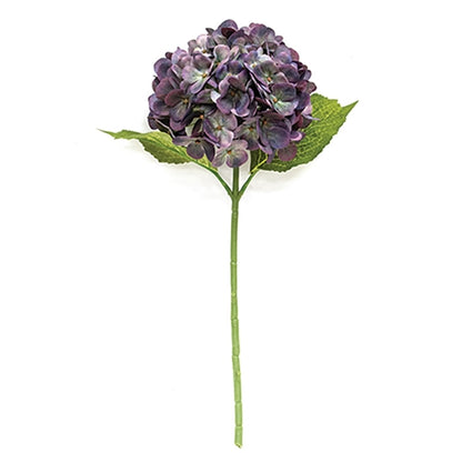 Fall Hydrangea Stem
