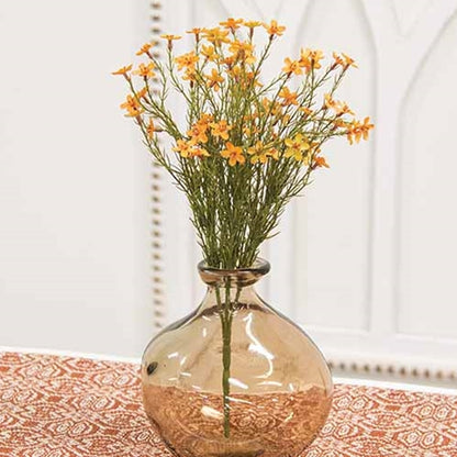 Golden Star Flower Bush