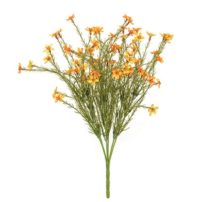 Golden Star Flower Bush