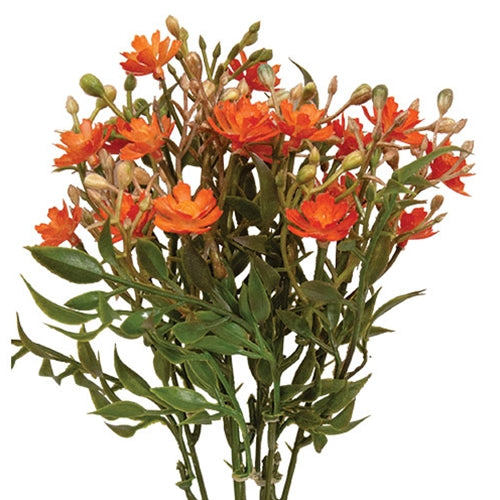 Orange Fall Lilac Bush