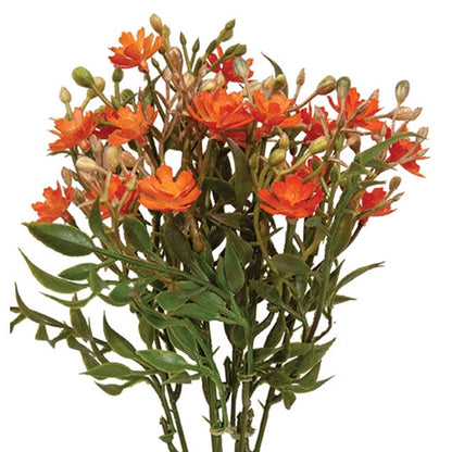 Orange Fall Lilac Bush