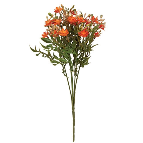 Orange Fall Lilac Bush