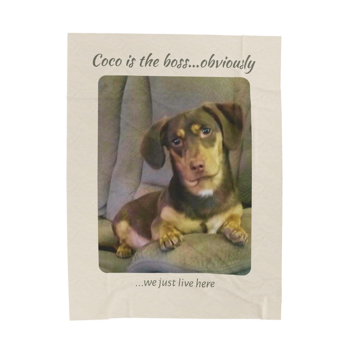 Personalized Photo Keepsake Plush Throw