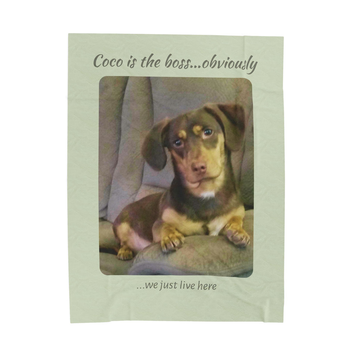 Personalized Photo Keepsake Plush Throw