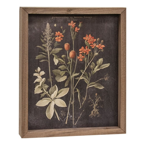 Vintage Botanical Framed Print