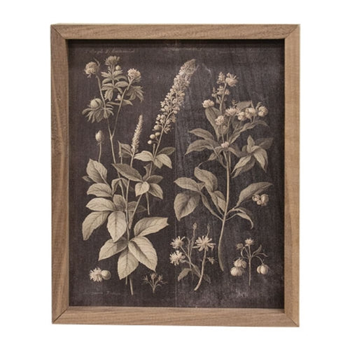Vintage Botanical Framed Print