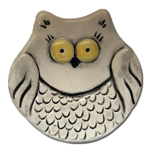 Watchful Owl Ceramic Dish
