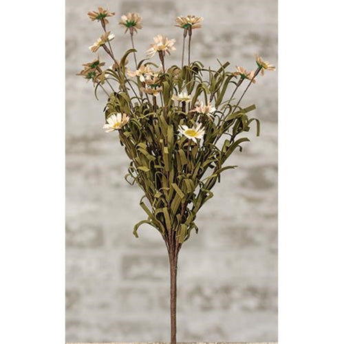 Mini Daisy Bush Stem in Teastain, 18"