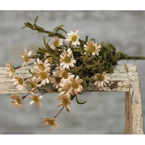 Mini Daisy Bush Stem in Teastain, 18"