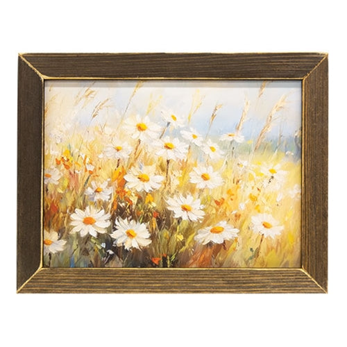 Sunlit Daisies Framed Print